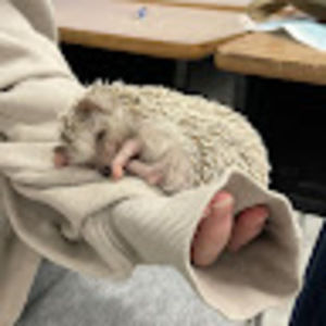 Meet your Posher, Kylie